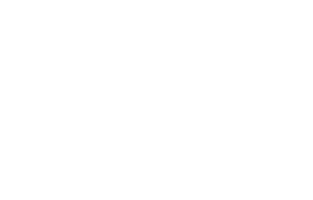 ECSAPEM